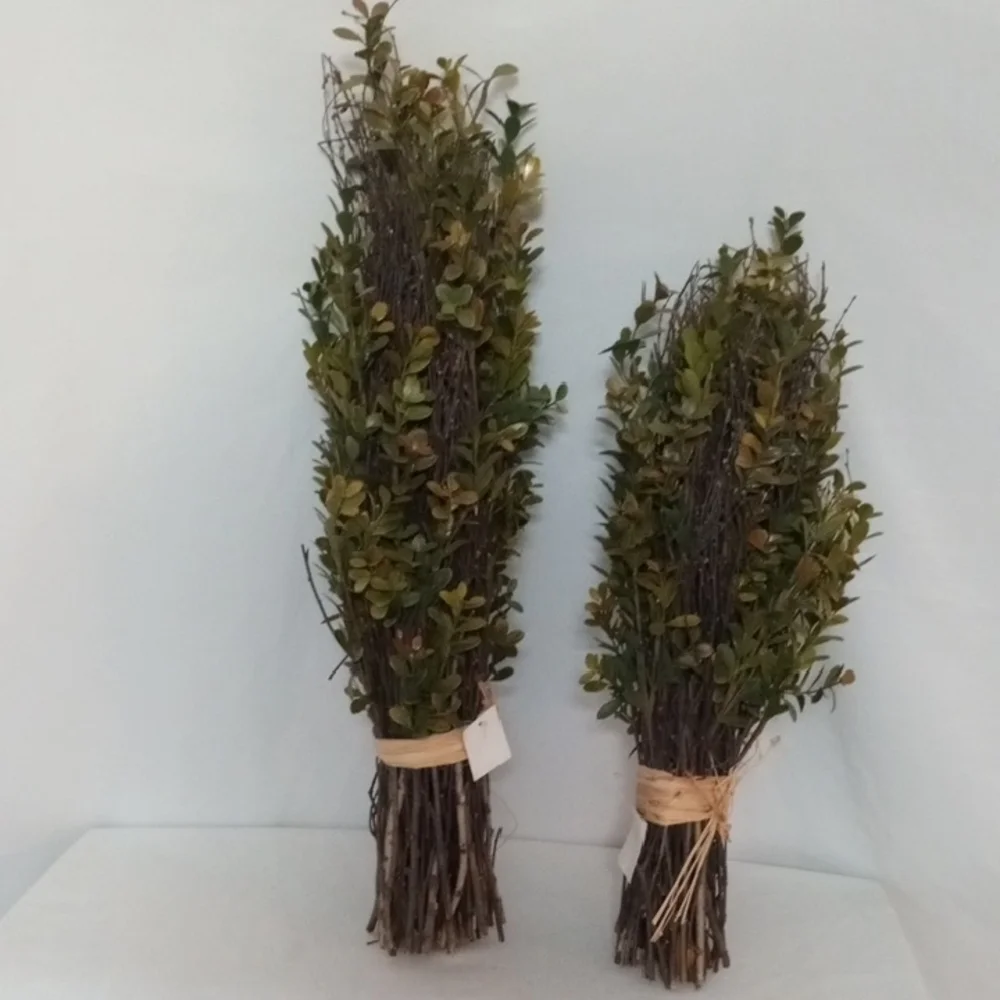 N/A topiary boxwood